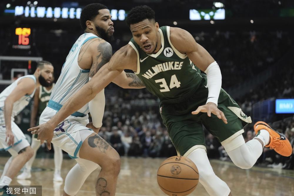 力与适应力 力与适应力